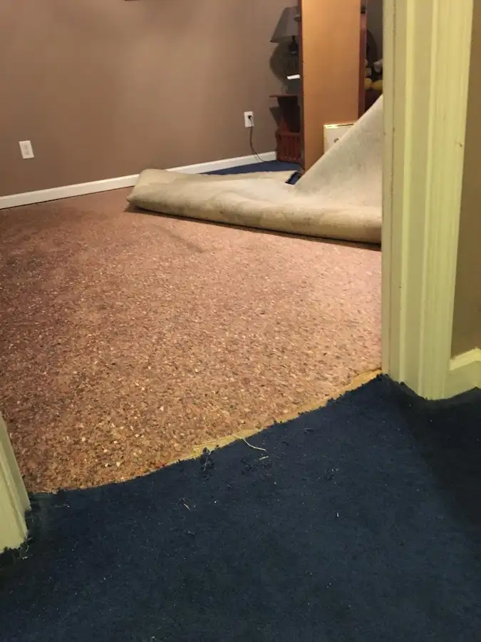 Carpet pad removal revealing water damage during Water Mitigation Services in Chaparral