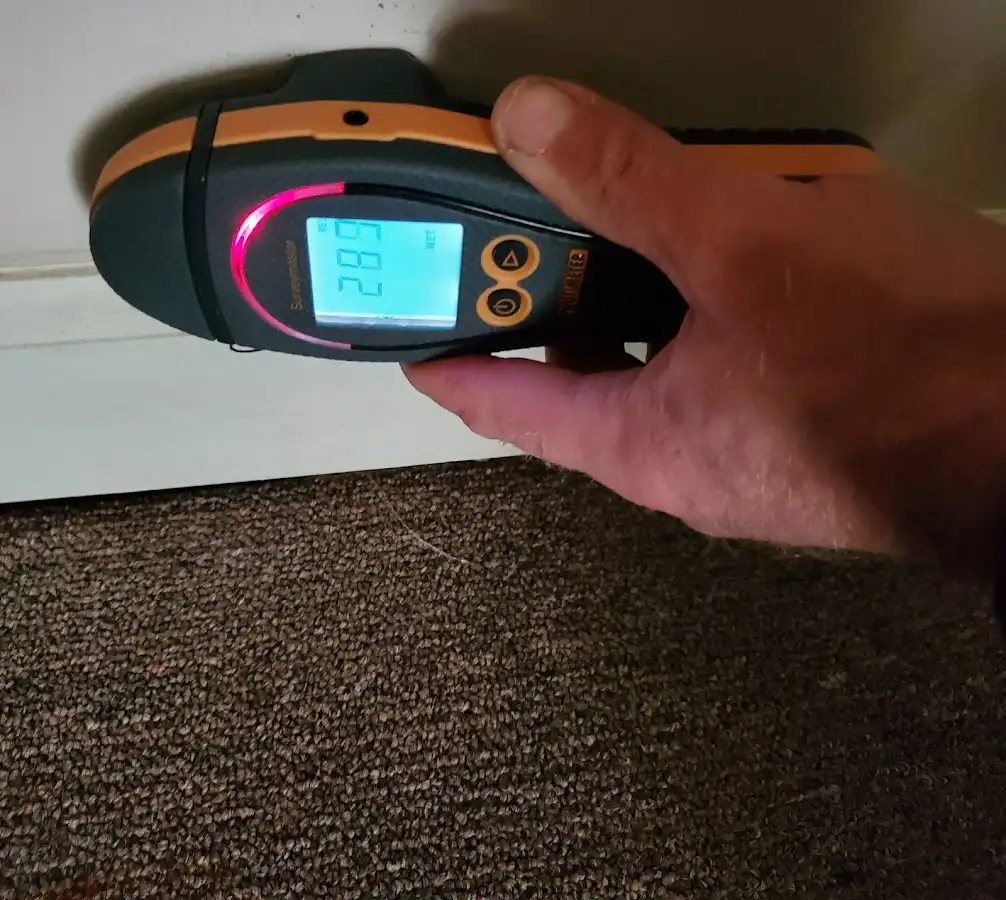 Moisture detection at baseboard during Mold Inspection & Testing in Chaparral
